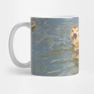 Three Canada Goose Goslings Swimming Together Mug